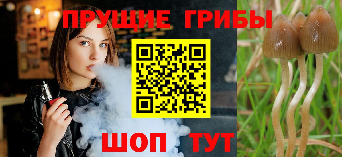 Псилоцибиновые грибы Magic Shrooms Бердск